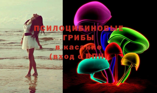 винт Алзамай
