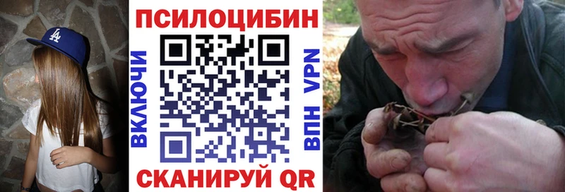 кракен ССЫЛКА  Темников  Галлюциногенные грибы мицелий 